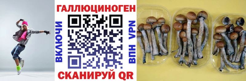 Псилоцибиновые грибы прущие грибы Гвардейск